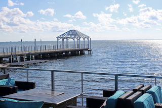 image column 2 widget_102920134173